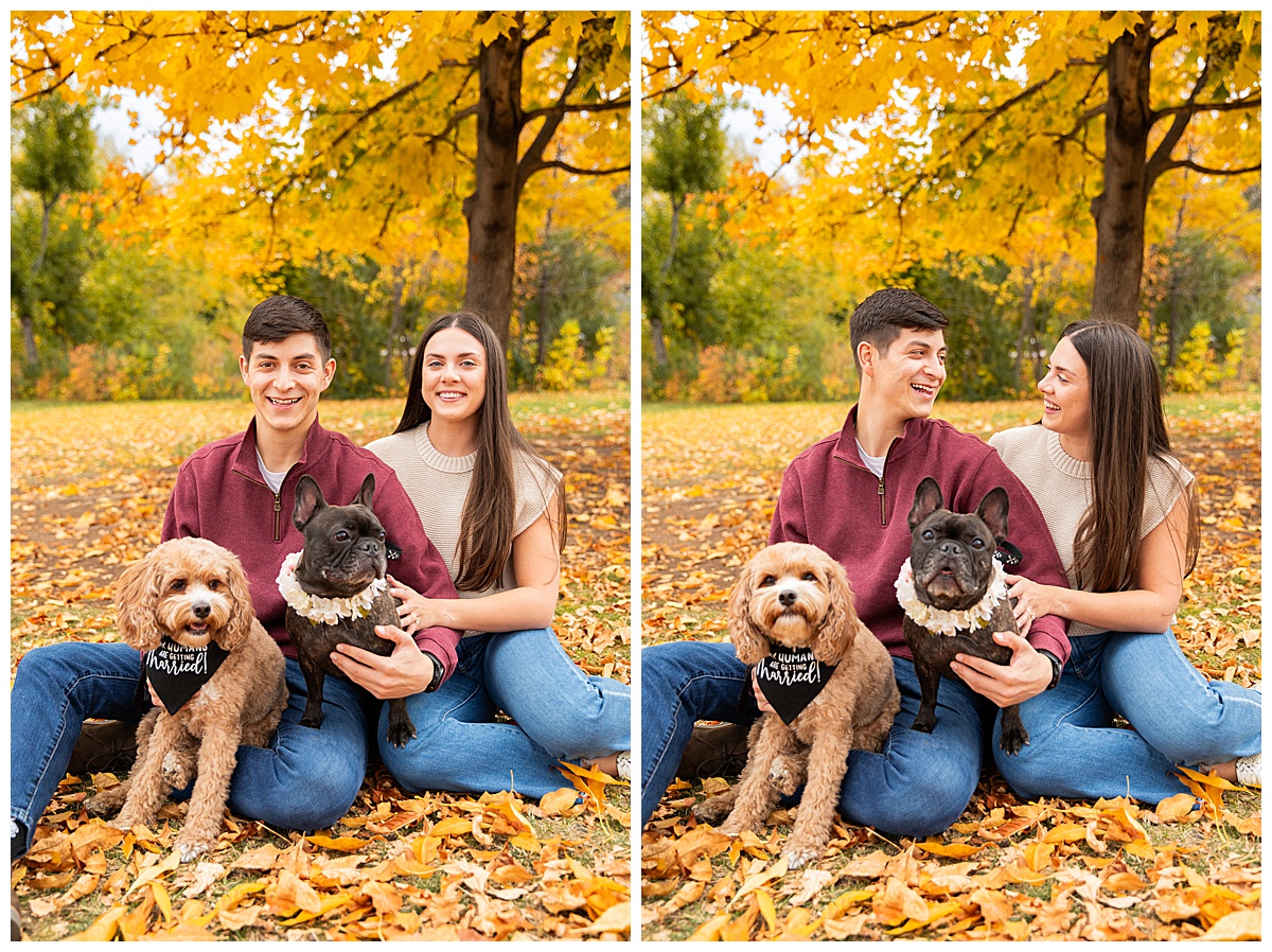 A couple poses in front of a bright yellow tree with their two dogs. The man is wearing a red sweater and blue jeans, the woman is wearing a sleeveless cream sweater and blue jeans.