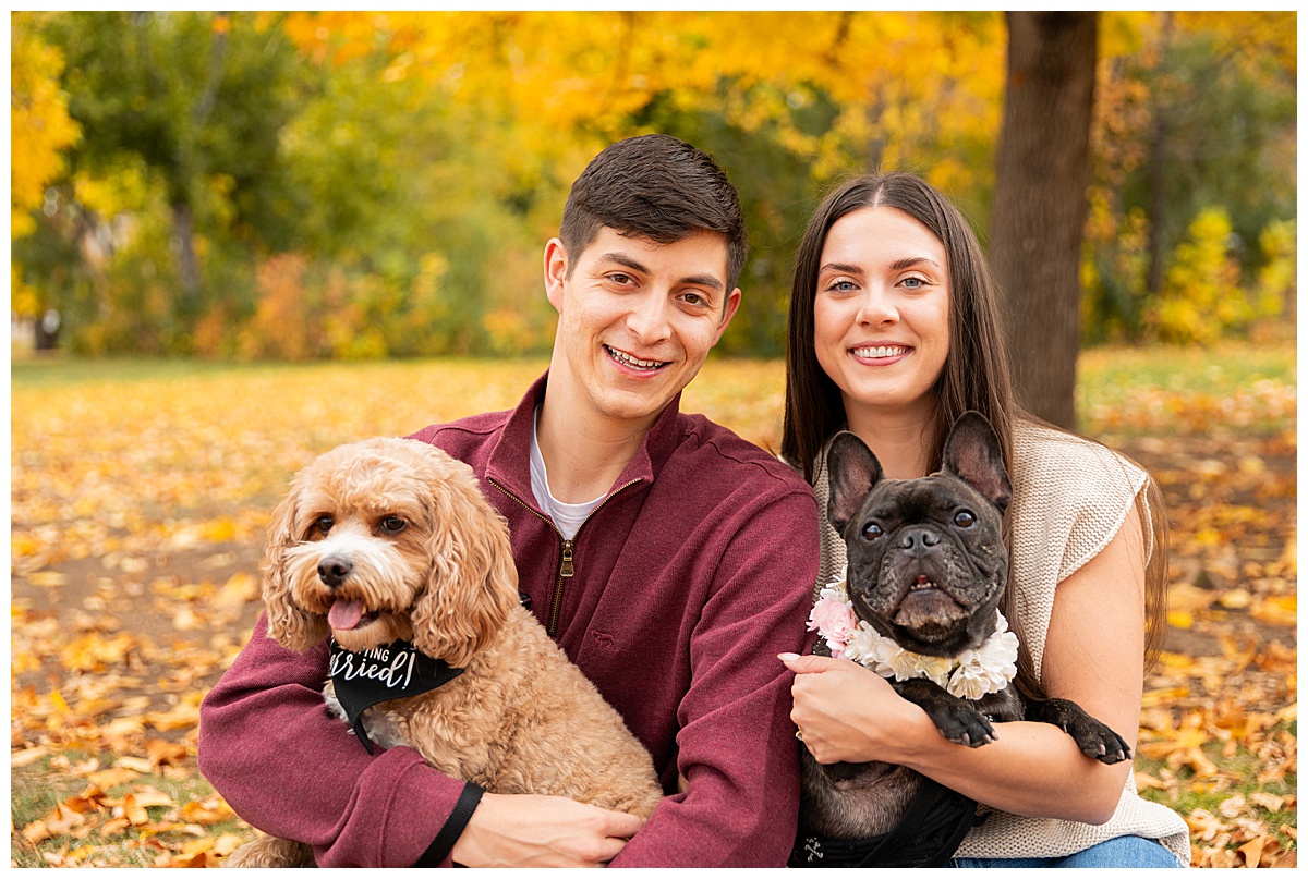 A couple poses in front of a bright yellow tree with their two dogs. The man is wearing a red sweater and blue jeans, the woman is wearing a sleeveless cream sweater and blue jeans.