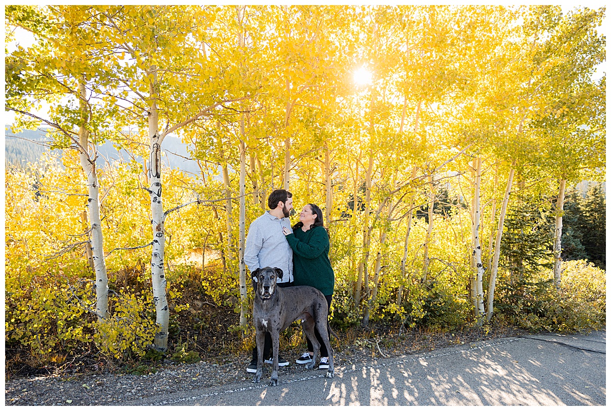A couple poses with their gray great dane in front of yellow aspen trees. The man is wearing a long sleeve gray button down shirt and the woman is wearing a dark green sweater
