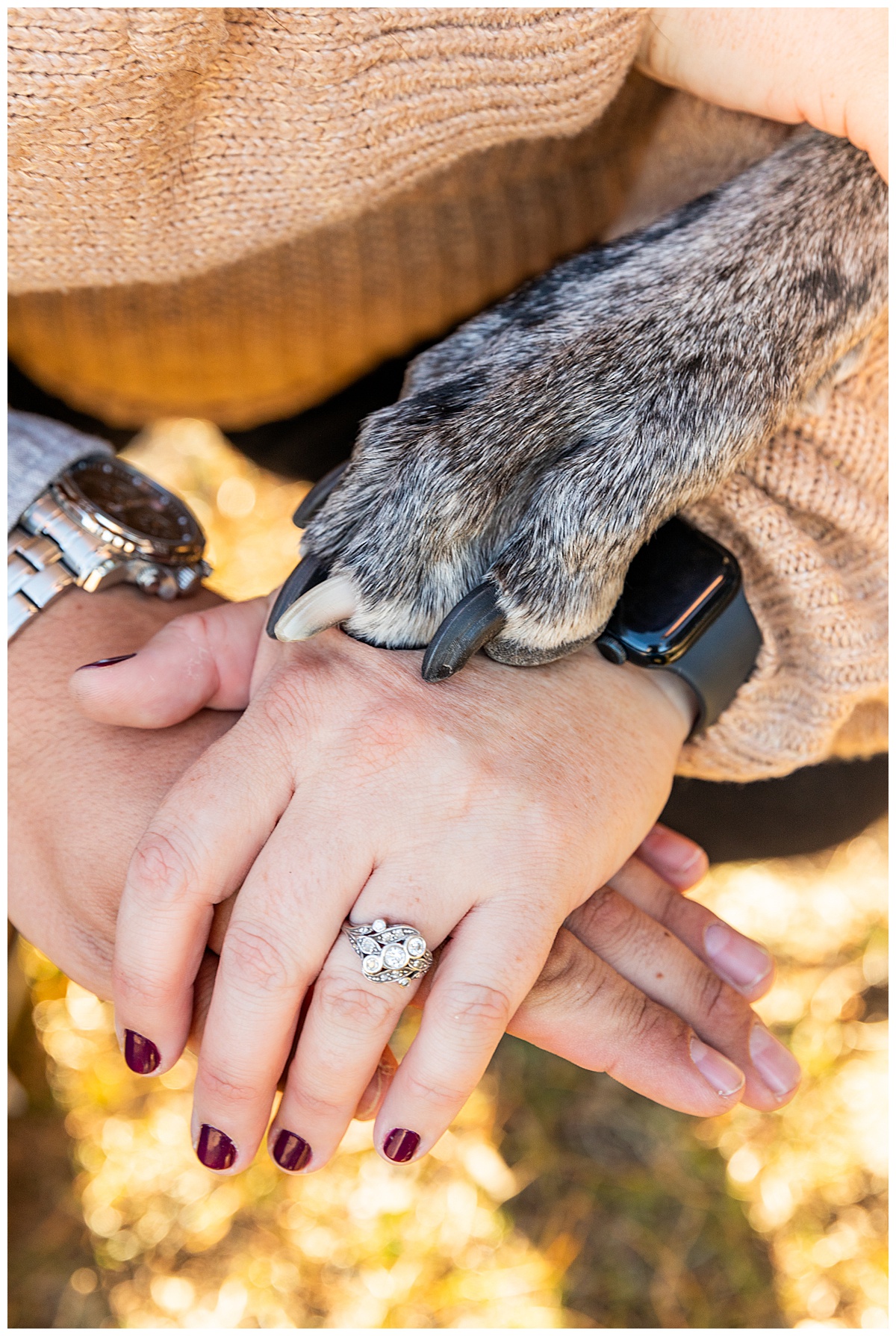 A close up of the couples hands with the great dane's paw on top of them