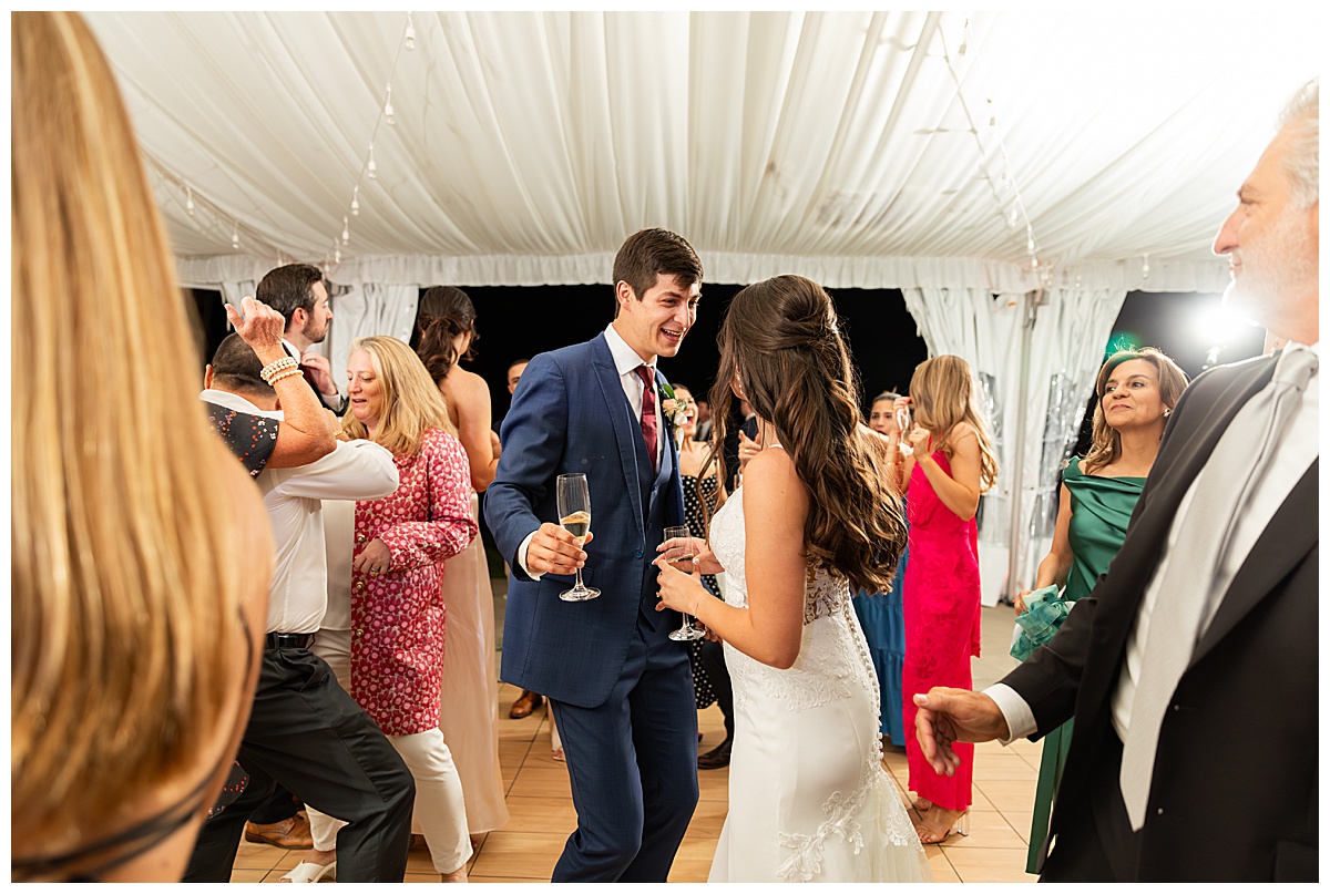 The bride, groom, and guests party during the reception. They are dancing on the dance floor, laughing, and posing for the camera.