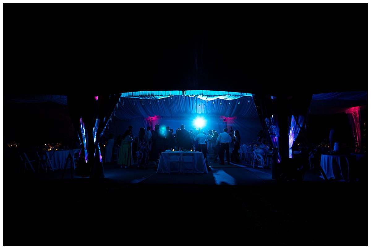 The bride, groom, and guests party during the reception. They are dancing on the dance floor, laughing, and posing for the camera.