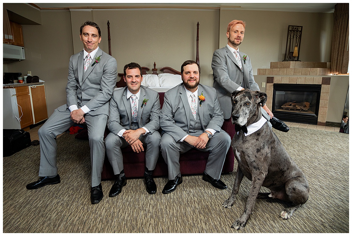 The groom poses with his groomsmen and his great dane, Earl. They are all wearing gray suits and Earl is wearing a collar and bow tie.