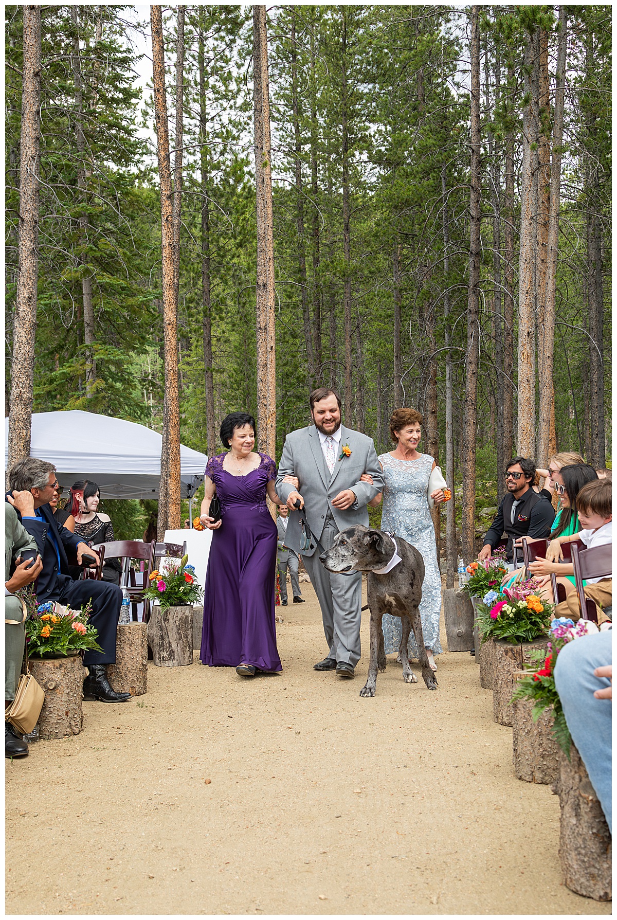 A photo of the groom walking down the aisle. He is escorting his mother, the bride's mother, and Earl the great dane. There are pine trees surrounding the ceremony site at Winter Park Mountain Lodge.