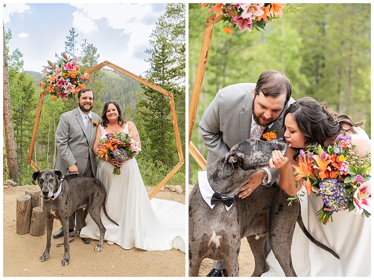 The bride and groom pose for photos with their great dane, Earl. Their wedding arch, pine trees, and a mountain are behind them.