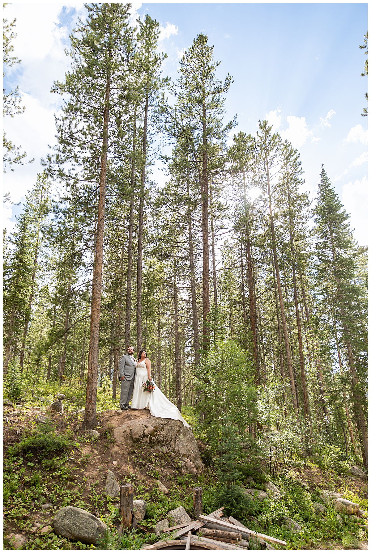 The bride and groom pose for photos. They are standing in a grove of pine trees.