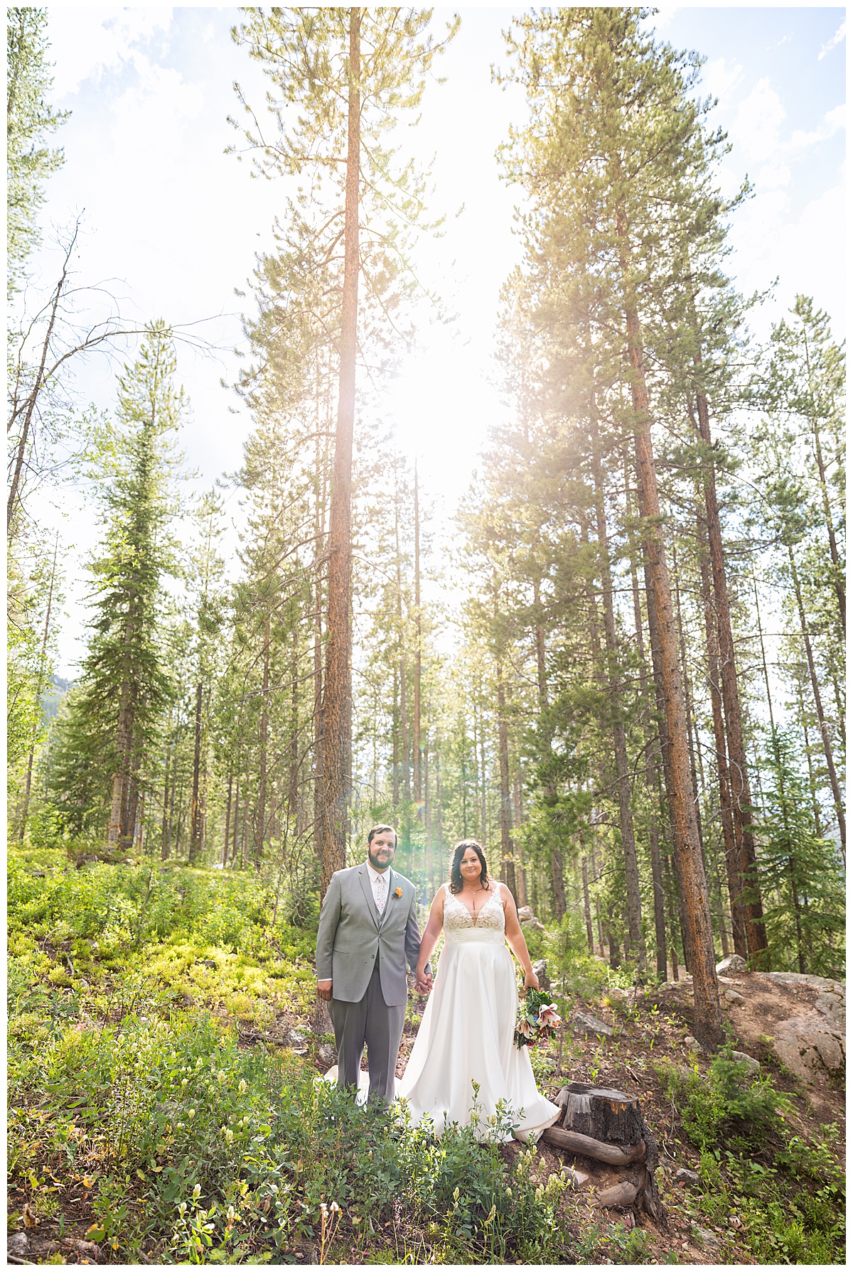 The bride and groom pose for photos. They are standing in a grove of pine trees.